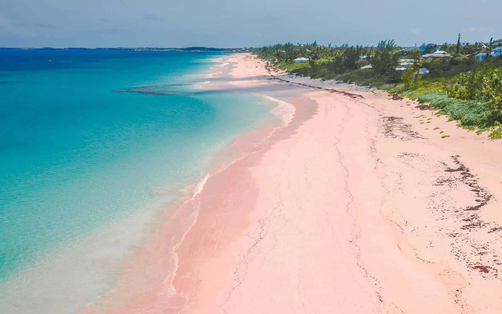 Pink Sands Beach (Bahamas)